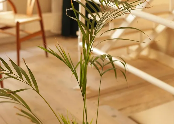 K L O S T E R E T - The Luxurious Townhouse Of